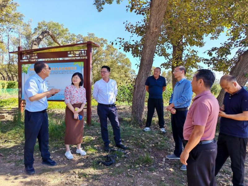 1770347331759654.png image.png