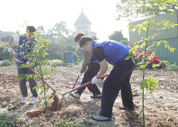 1773629741108229.png image.png