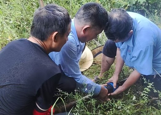 1773884786435680.png image.png