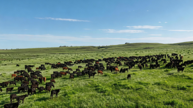 1776048413433269.png image.png